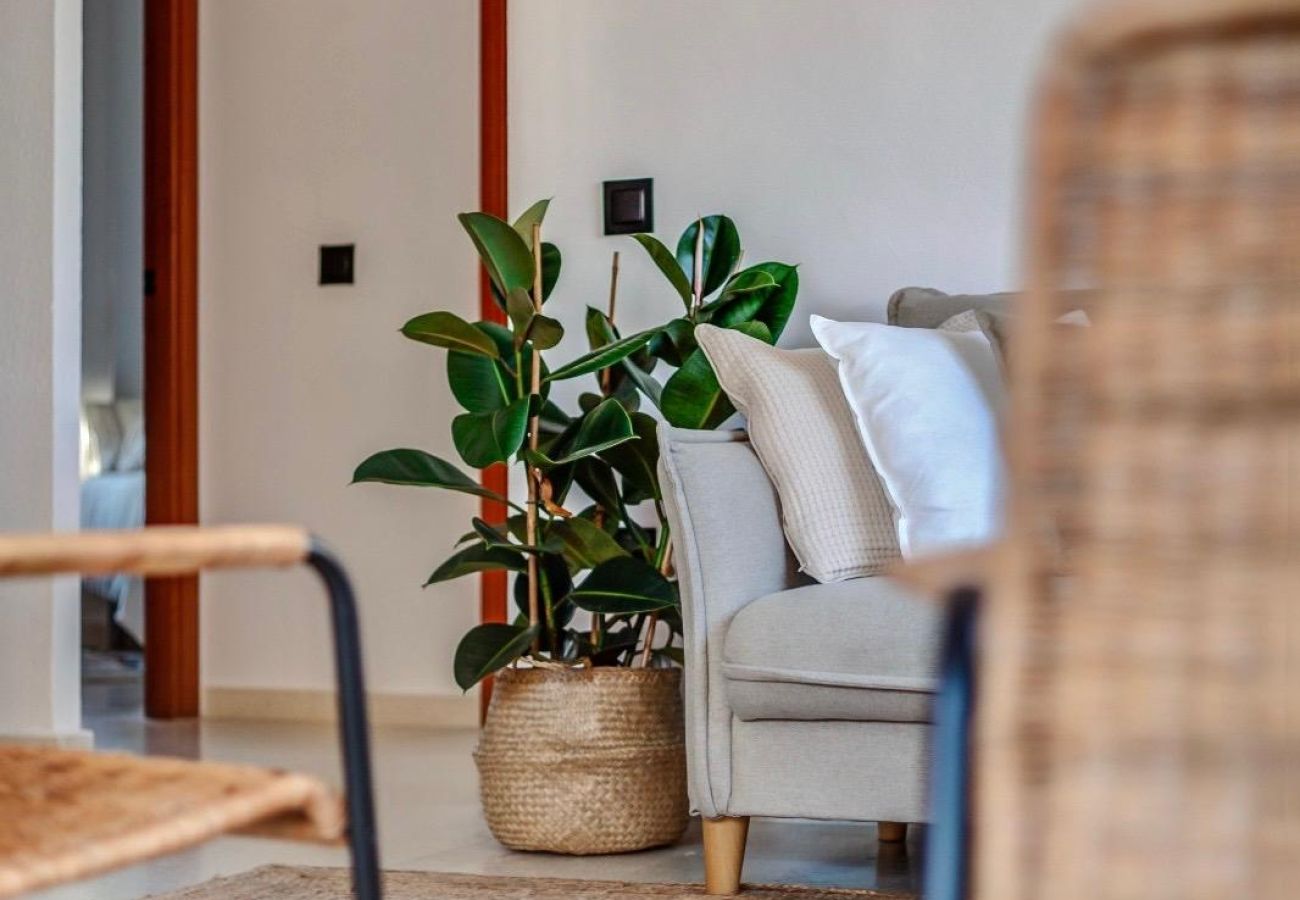 Apartment in Benidorm - ENTREPLAYAS HOLIDAY APARTMENT (A062)