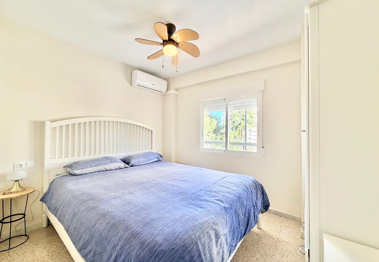 Apartment in Benidorm - CIUDAD ANTENA APARTMENT R185