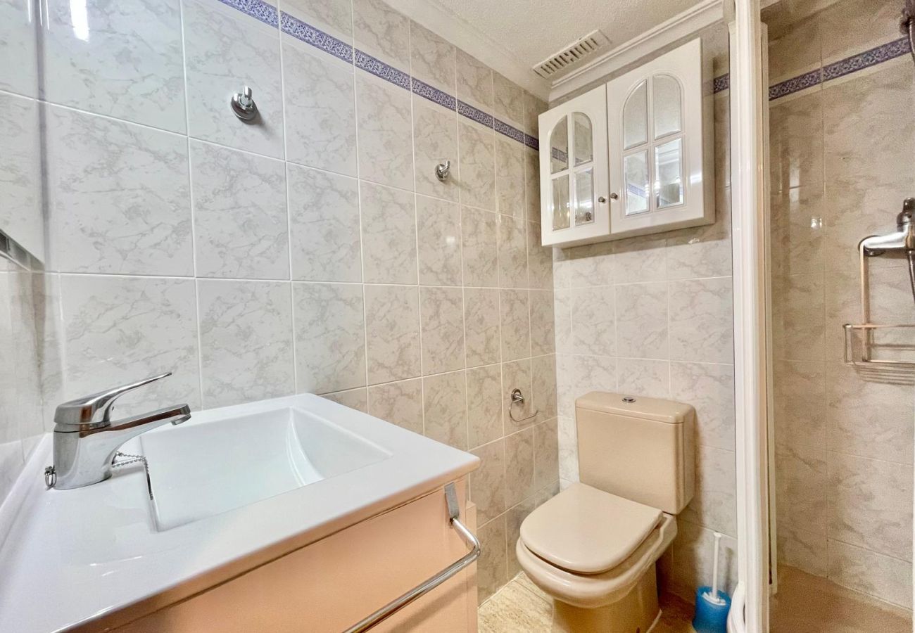 Apartment in Benidorm - ALBATROS LOIX APARTMENT R188