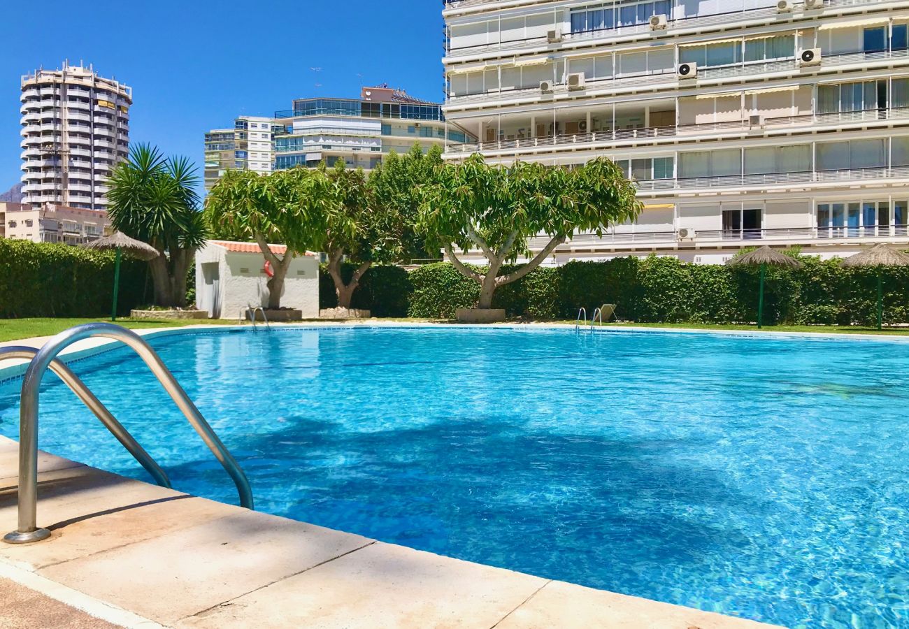 Studio in Benidorm - TORRE COBLANCA STUDIO A158 A159