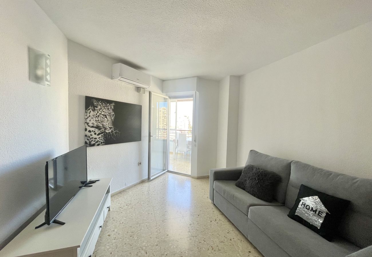 Apartment in Benidorm - TORRE VALENCIA CITY VIEWS R045 R047