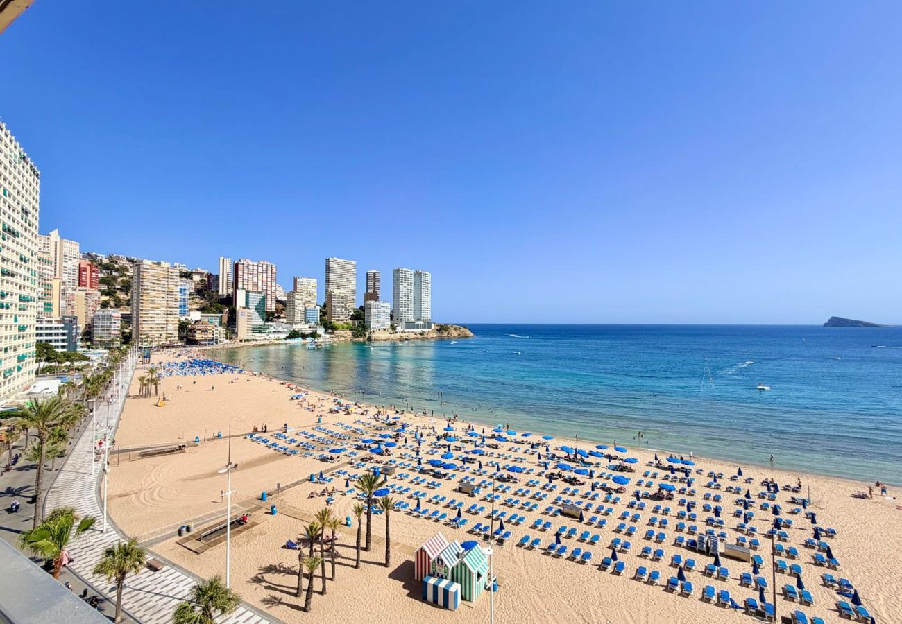 Apartment in Benidorm - CAROLINA 2 BEDROOM AMAZING VIEWS R186