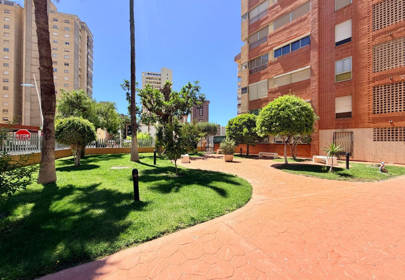 Apartment in Benidorm - LEVANTE BEACH CIGÜEÑA APARTMENT (R187)