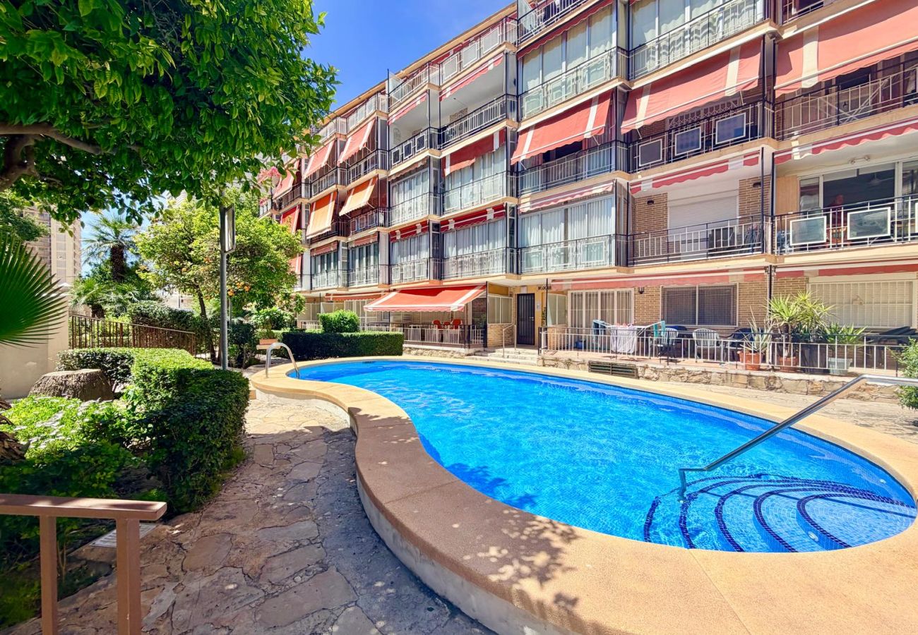 Apartment in Benidorm - NEW TOWN LEVANTE BEACH APARTMENT (R192)