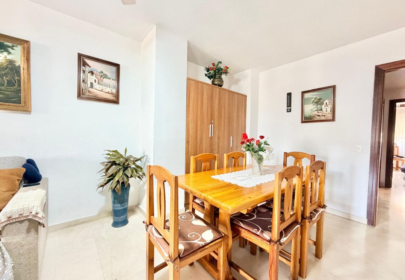 Apartment in Benidorm - ANFITEATRO CENTER APARTAMENT R196