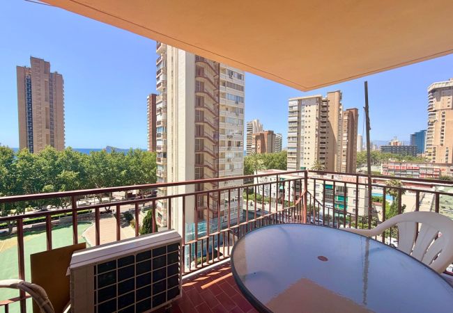  in Benidorm - LA OCA APARTMENT LEVANTE BEACH (R197)
