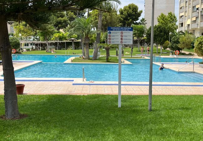  in Benidorm - GEMELOS 8 LEVANTE A005