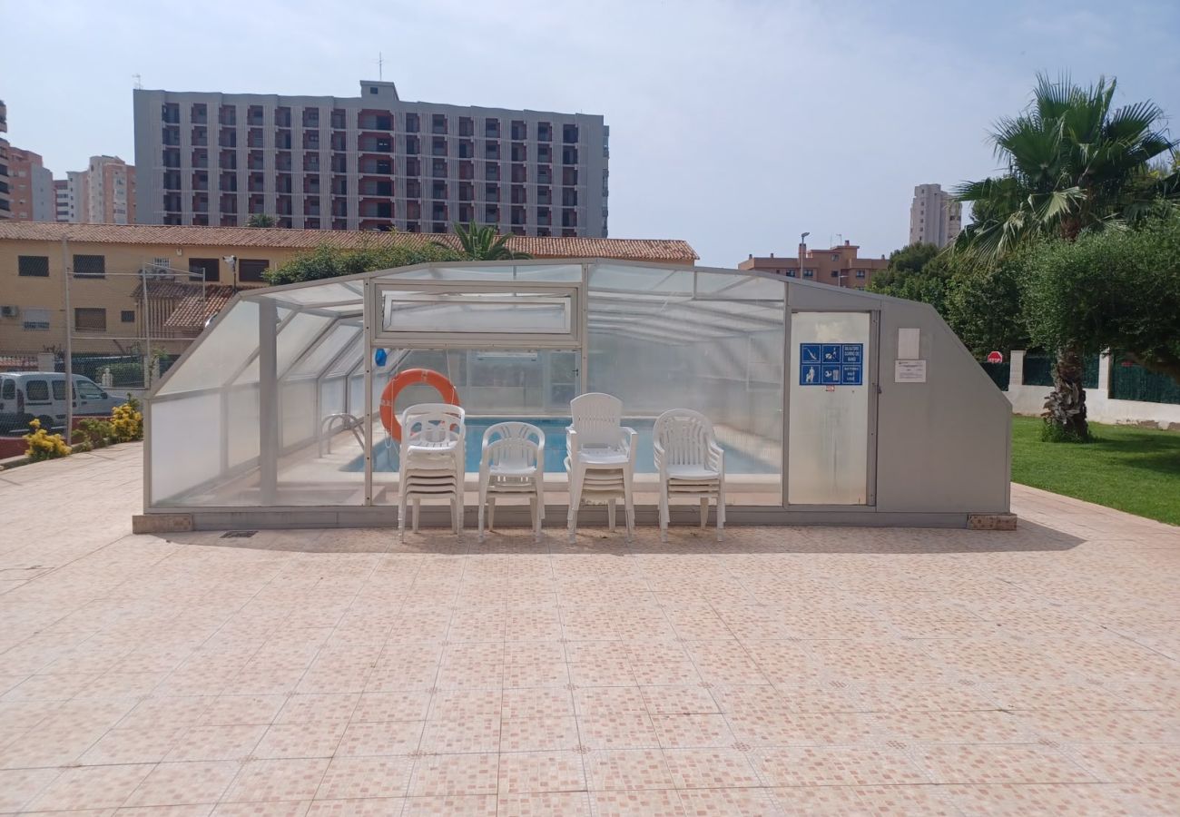 Apartment in Benidorm - GEMELOS 8 LEVANTE A005