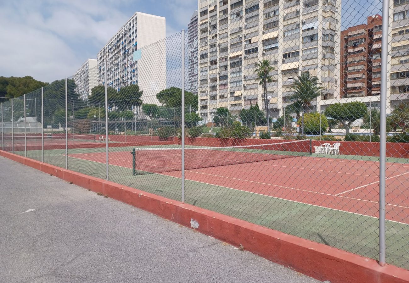 Apartment in Benidorm - GEMELOS 8 LEVANTE A005