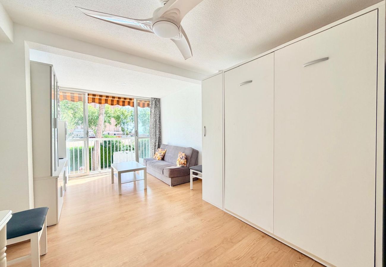 Studio in Benidorm - ALBATROS STUDIO LEVANTE BEACH (A016)