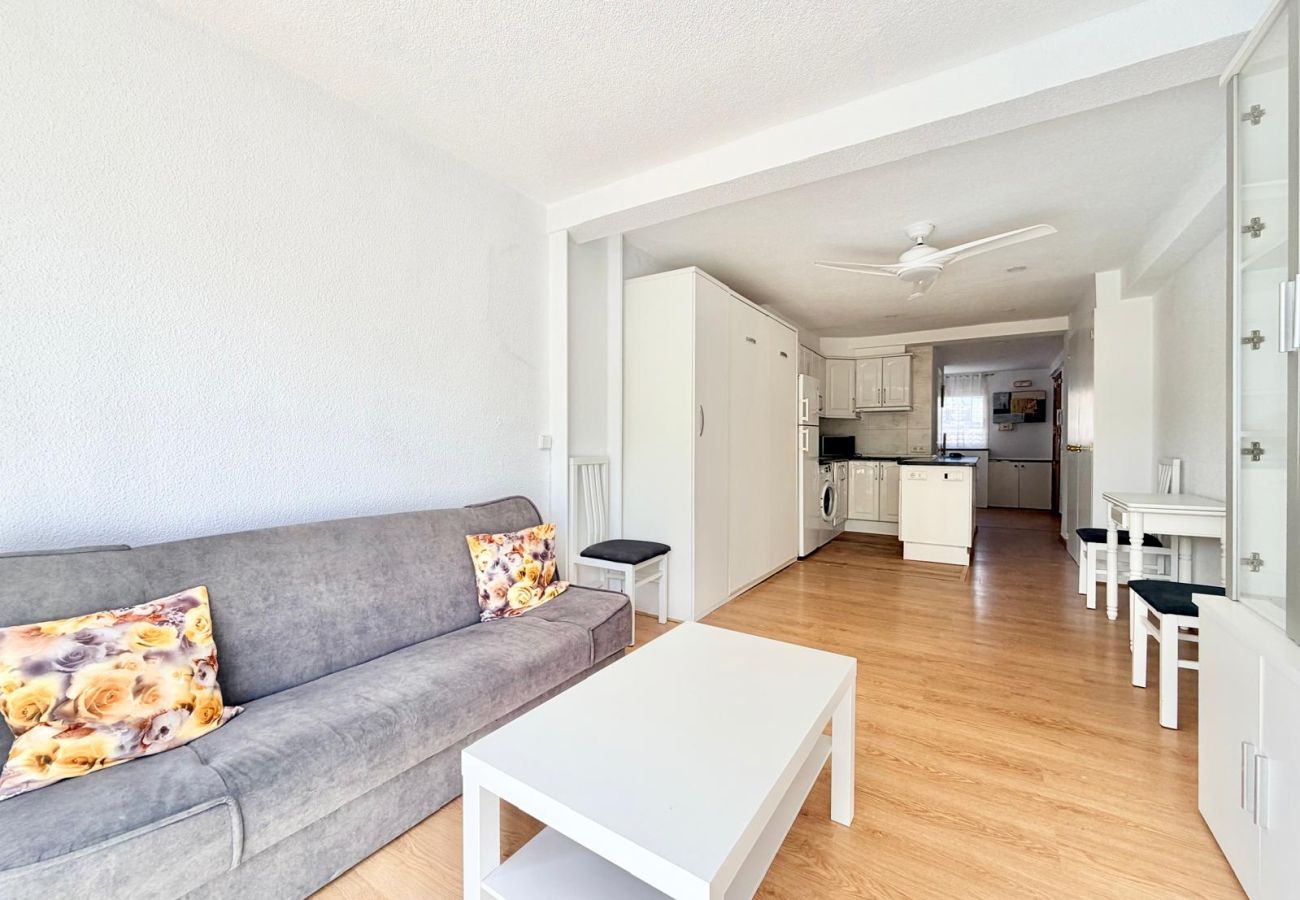 Studio in Benidorm - ALBATROS STUDIO LEVANTE BEACH (A016)
