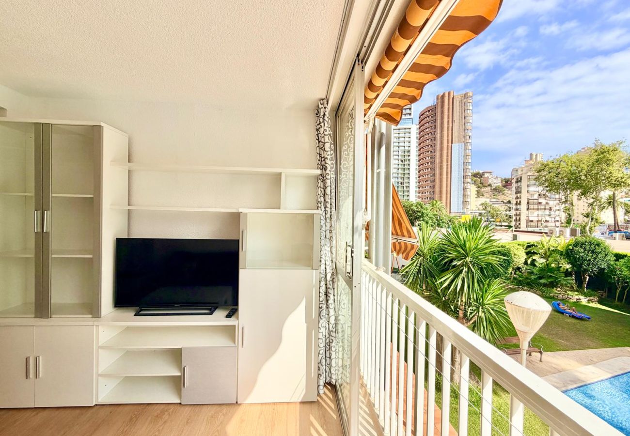Studio in Benidorm - ALBATROS STUDIO LEVANTE BEACH (A016)