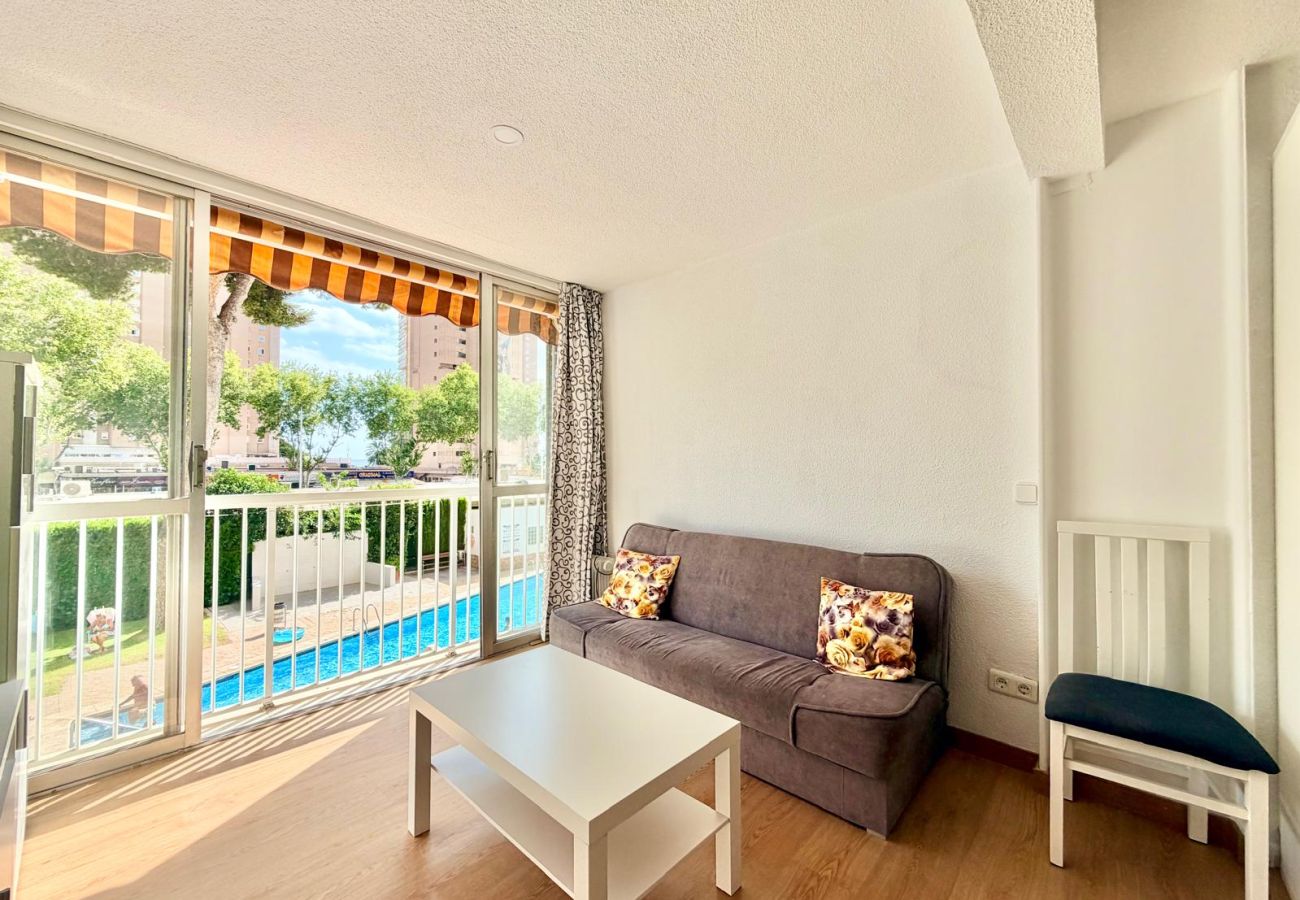 Studio in Benidorm - ALBATROS STUDIO LEVANTE BEACH (A016)