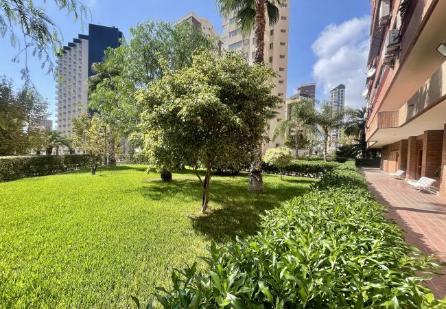 Appartement à Benidorm - WIFI LUXURY MODERN APARTMENT R056 Appartement à Benidorm - WIFI LUXURY MODERN APARTMENT R056