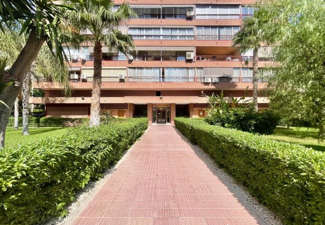 Appartement à Benidorm - WIFI LUXURY MODERN APARTMENT R056 Appartement à Benidorm - WIFI LUXURY MODERN APARTMENT R056