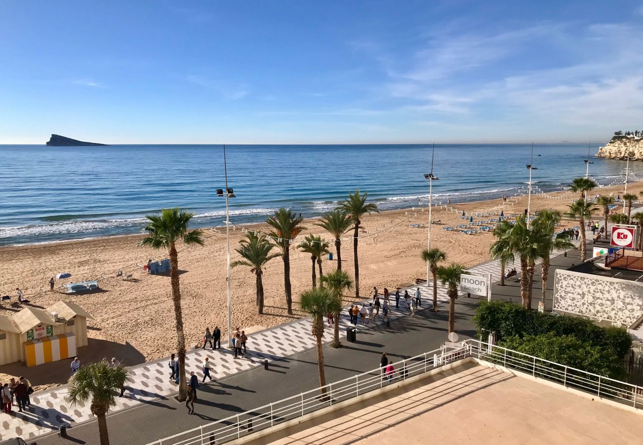 Studio à Benidorm - LEVANTE BEACH SEAFRONT BLUELINE STUDIO R039