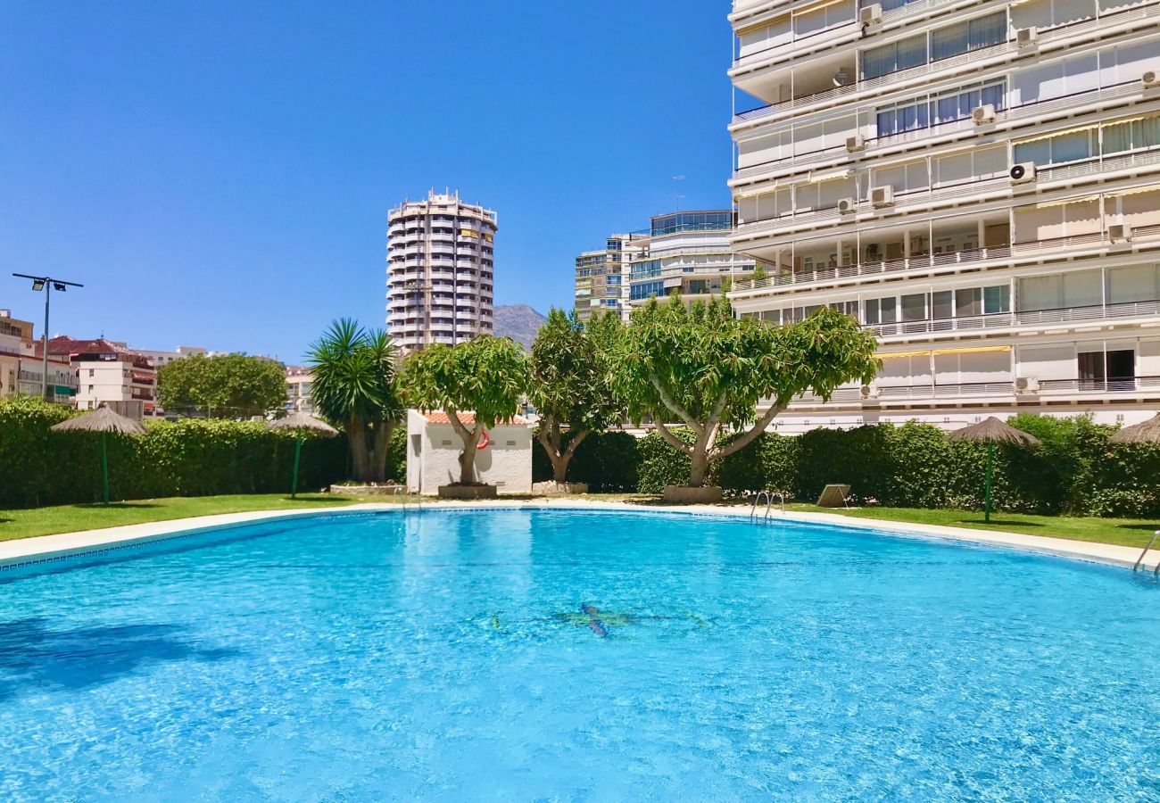 Studio à Benidorm - LEVANTE BEACH SEAFRONT BLUELINE STUDIO R039