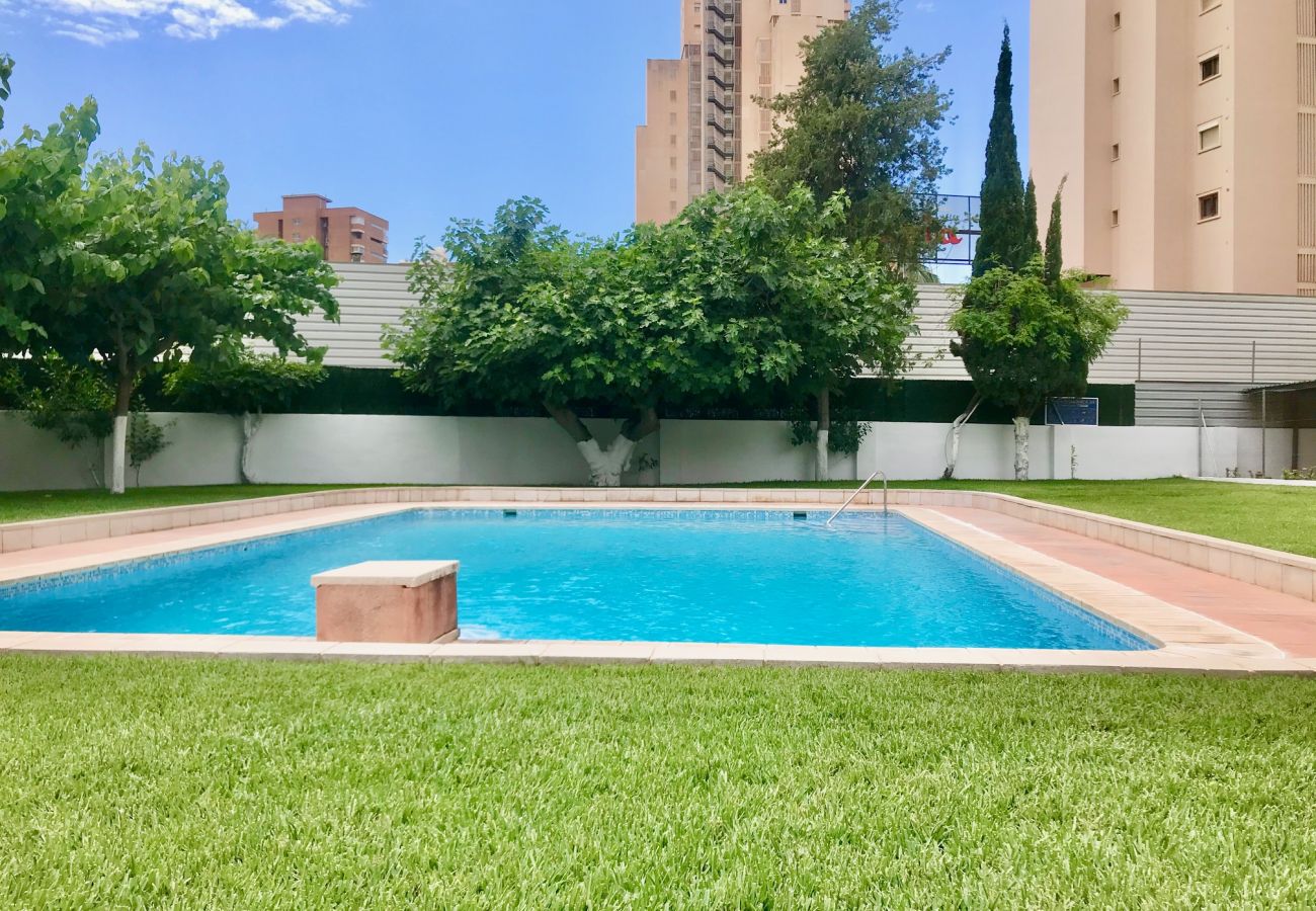 Appartement à Benidorm - EUROPA APARTMENT R068