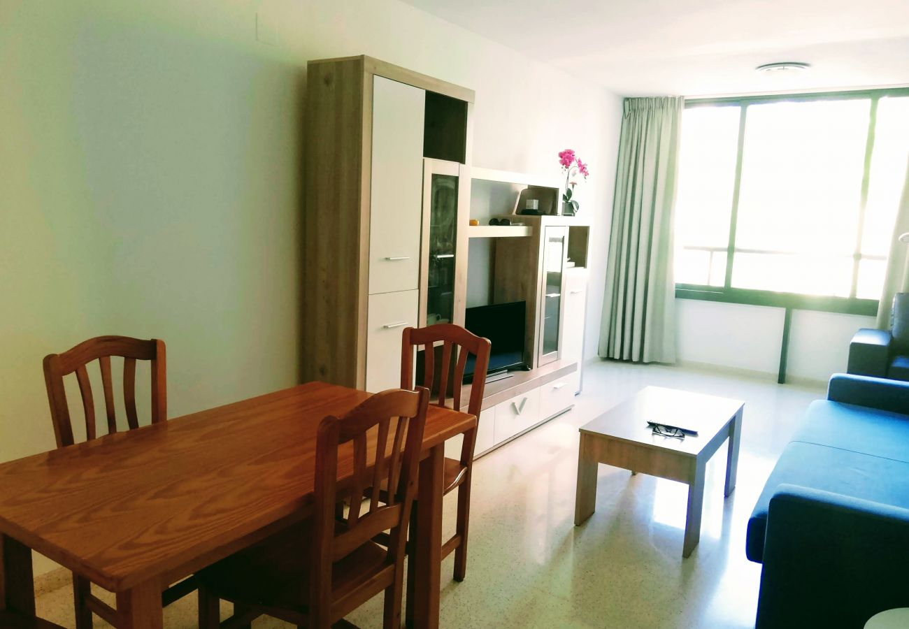 Appartement à Benidorm - PARAISO BENIDORM APARTAMENT R070