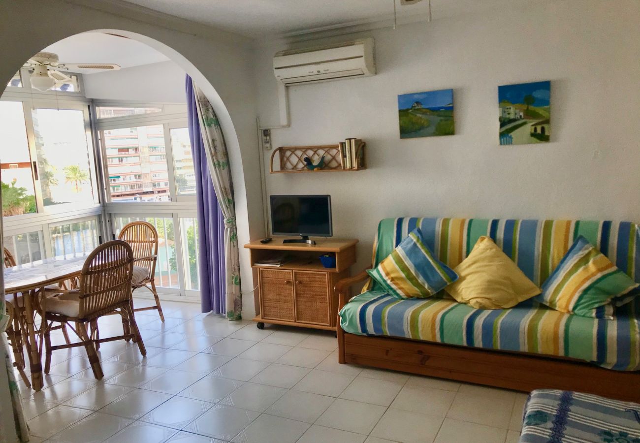 Appartement à Benidorm - REX AND SUN APARTMENT R073