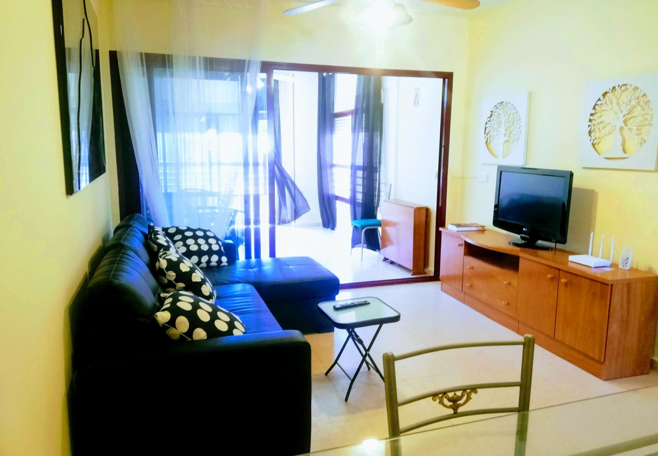 Appartement à Benidorm - APARTAMENTO ENTREPLAYAS 2 R081