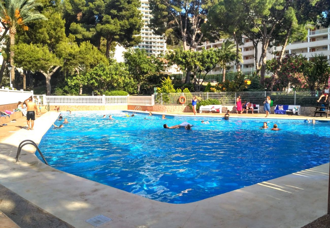 Appartement à Benidorm - WIFI LOIX APARTMENT R085