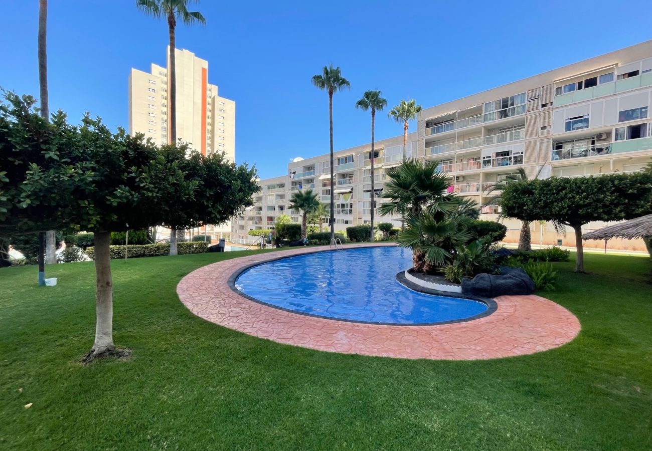 Appartement à Benidorm - TORRE MONACO R107