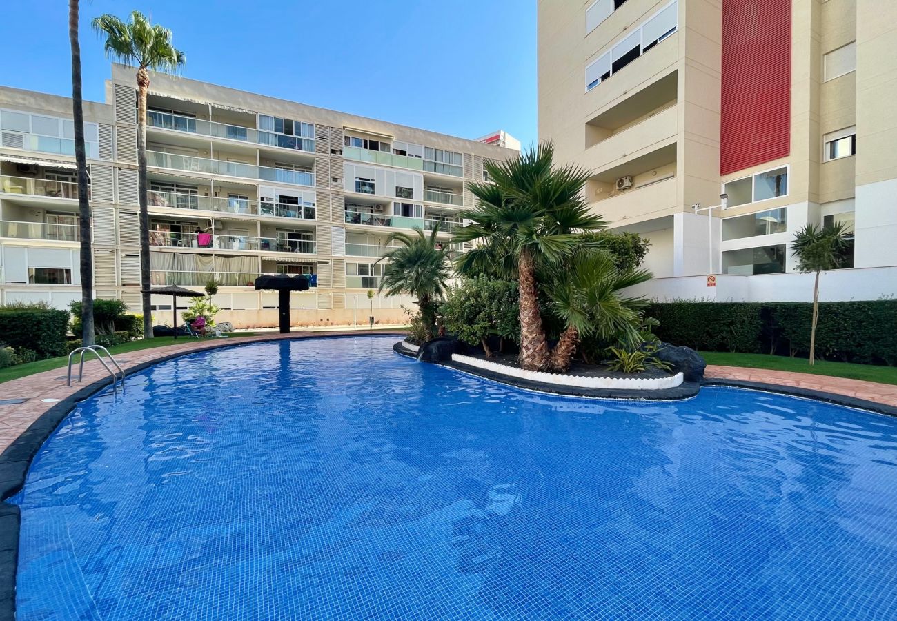 Appartement à Benidorm - TORRE MONACO R107