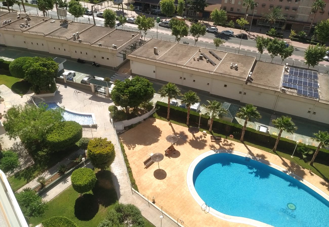 Appartement à Benidorm - CIBELES SUN APARTMENT R120