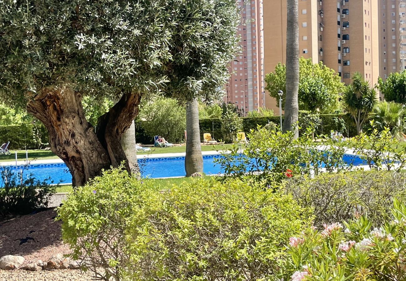 Appartement à Benidorm - CRONOS HIGH VIEWS R069