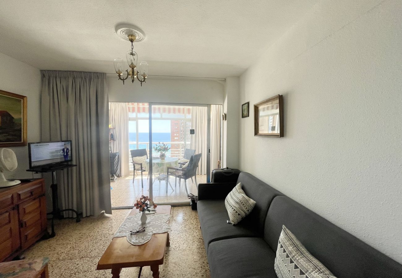 Appartement à Benidorm - ELEVEN CABALLOS APARTMENT R125