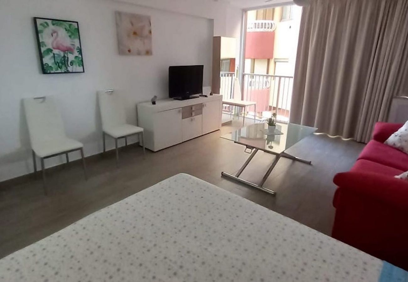 Studio à Benidorm - TROPICANA PONIENTE BEACH R126