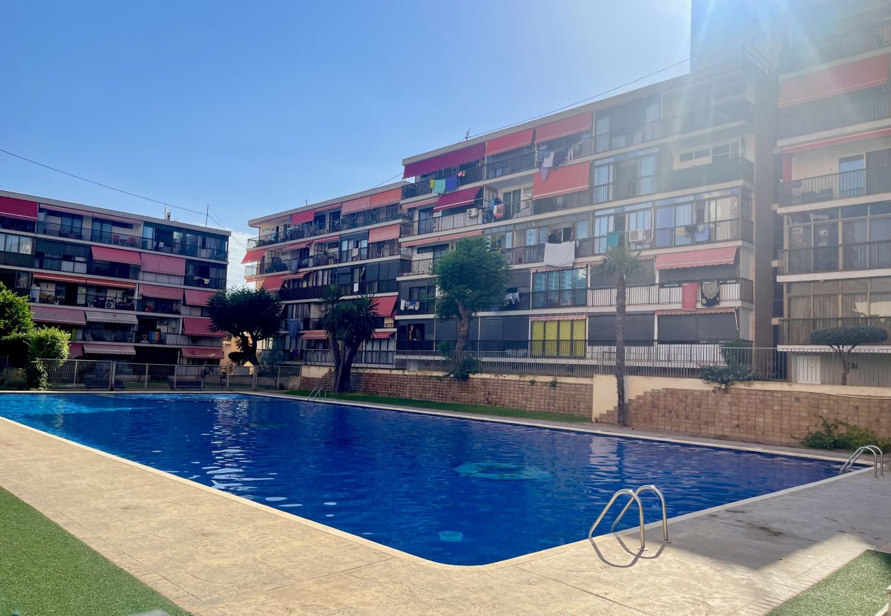 Appartement à Benidorm - EUROPA GARDEN LEVANTE BEACH R129