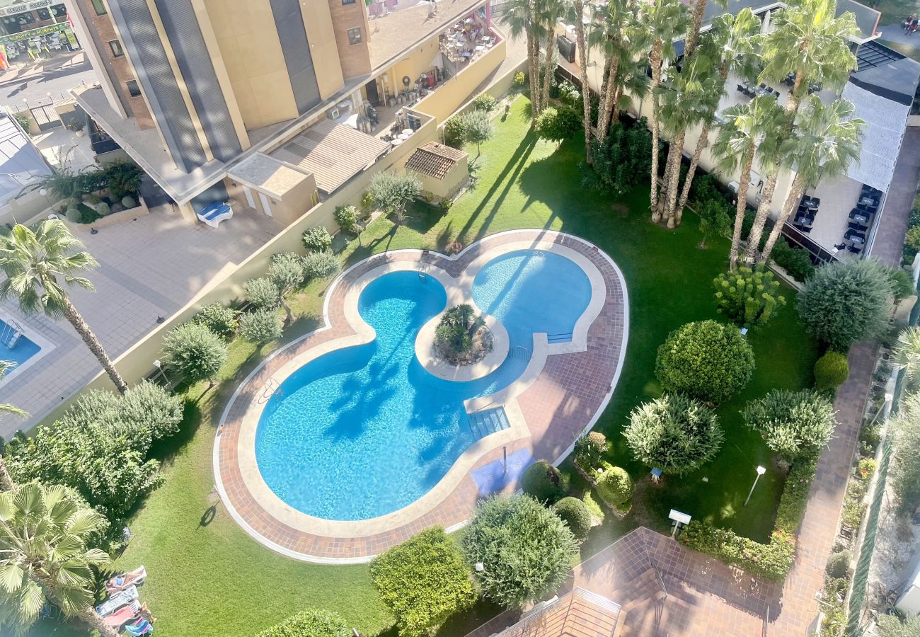 Appartement à Benidorm - TORPA BENIDORM LEVANTE R135