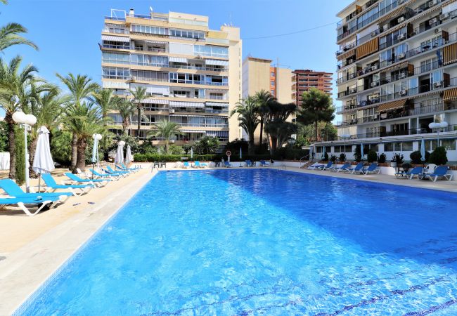 Appartement à Benidorm - VERSALLES POOL LEVANTE R161