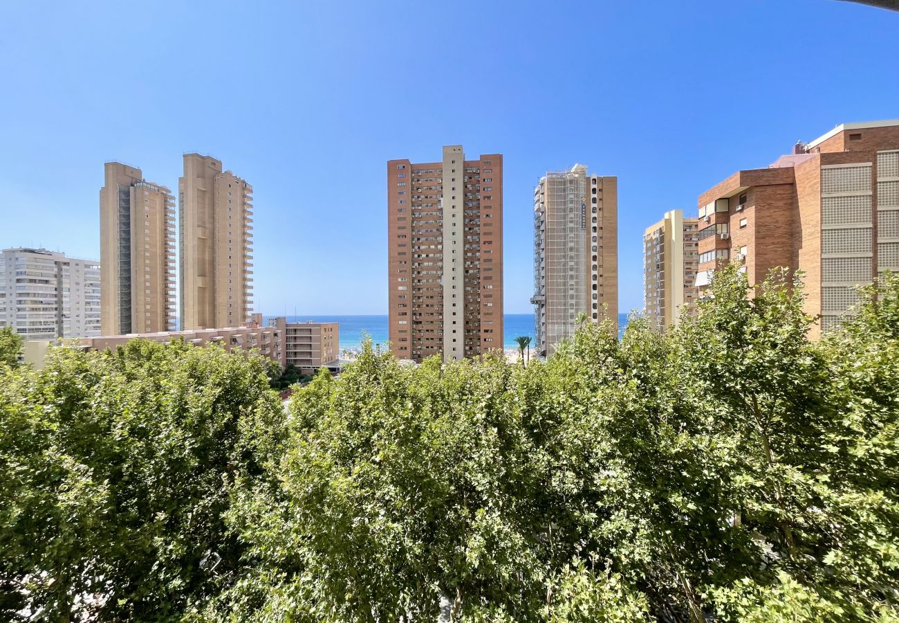 Appartement à Benidorm - LOS CABALLOS LEVANTE BEACH (N062)