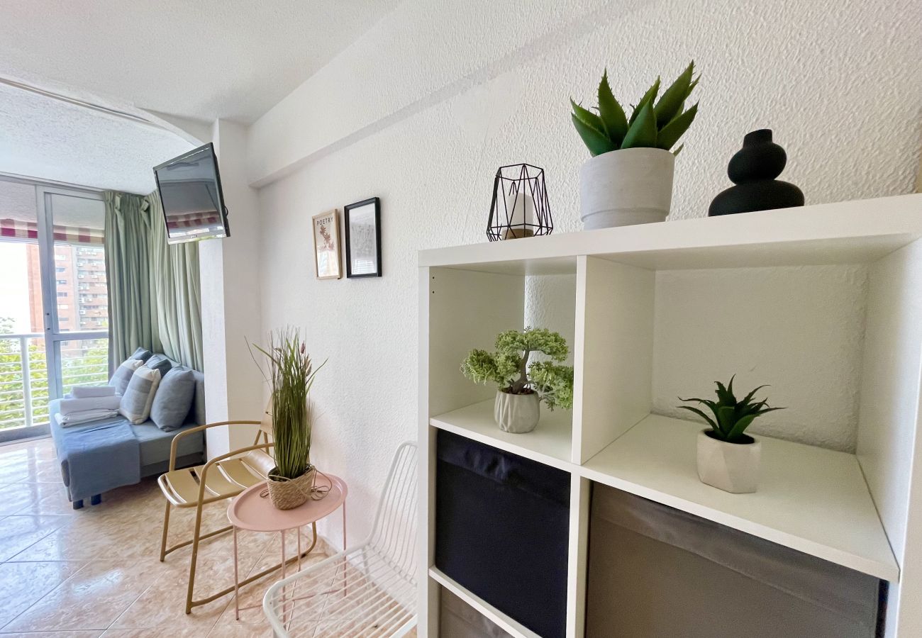 Appartement à Benidorm - LOS CABALLOS LEVANTE BEACH (N062)