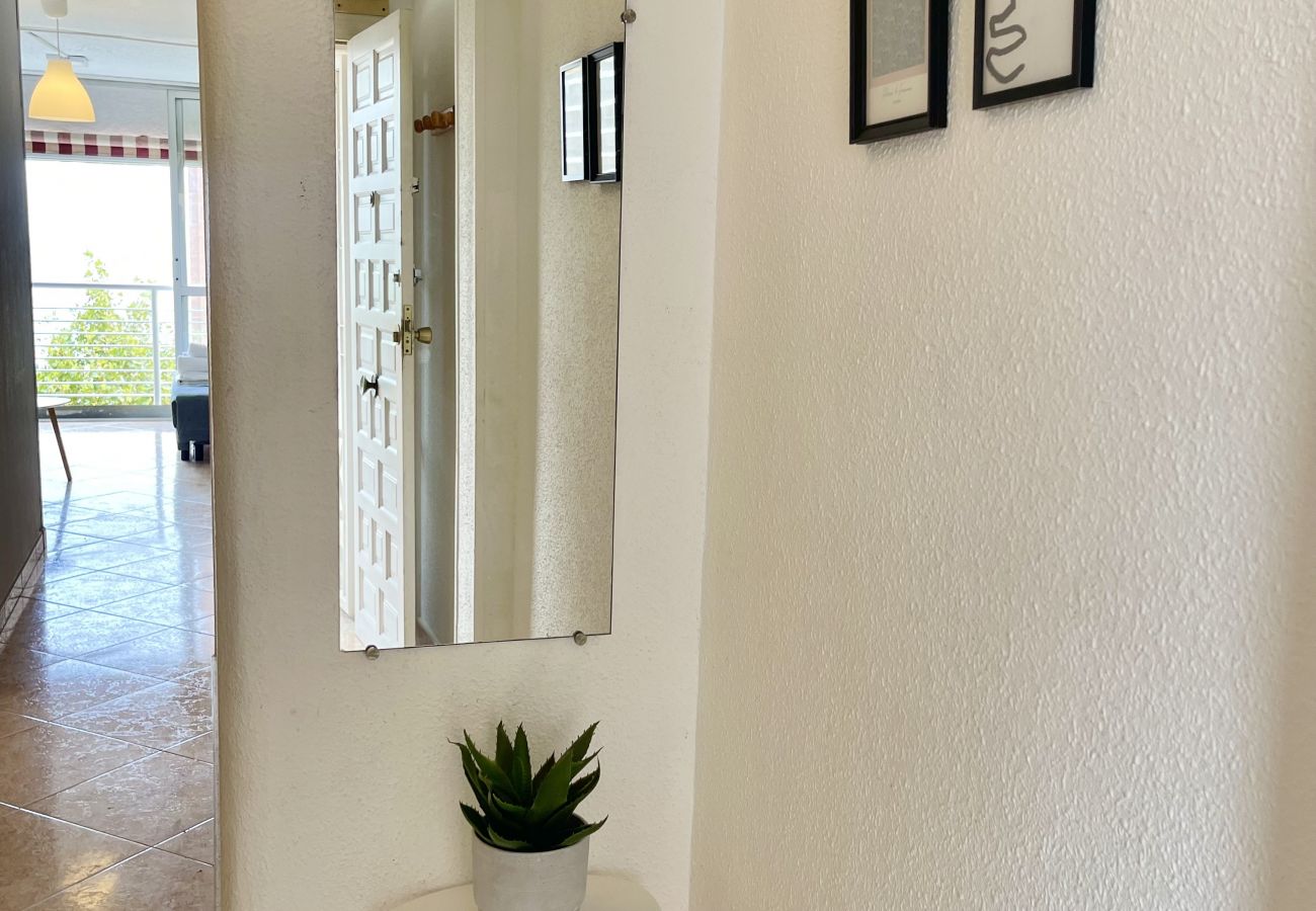 Appartement à Benidorm - LOS CABALLOS LEVANTE BEACH (N062)