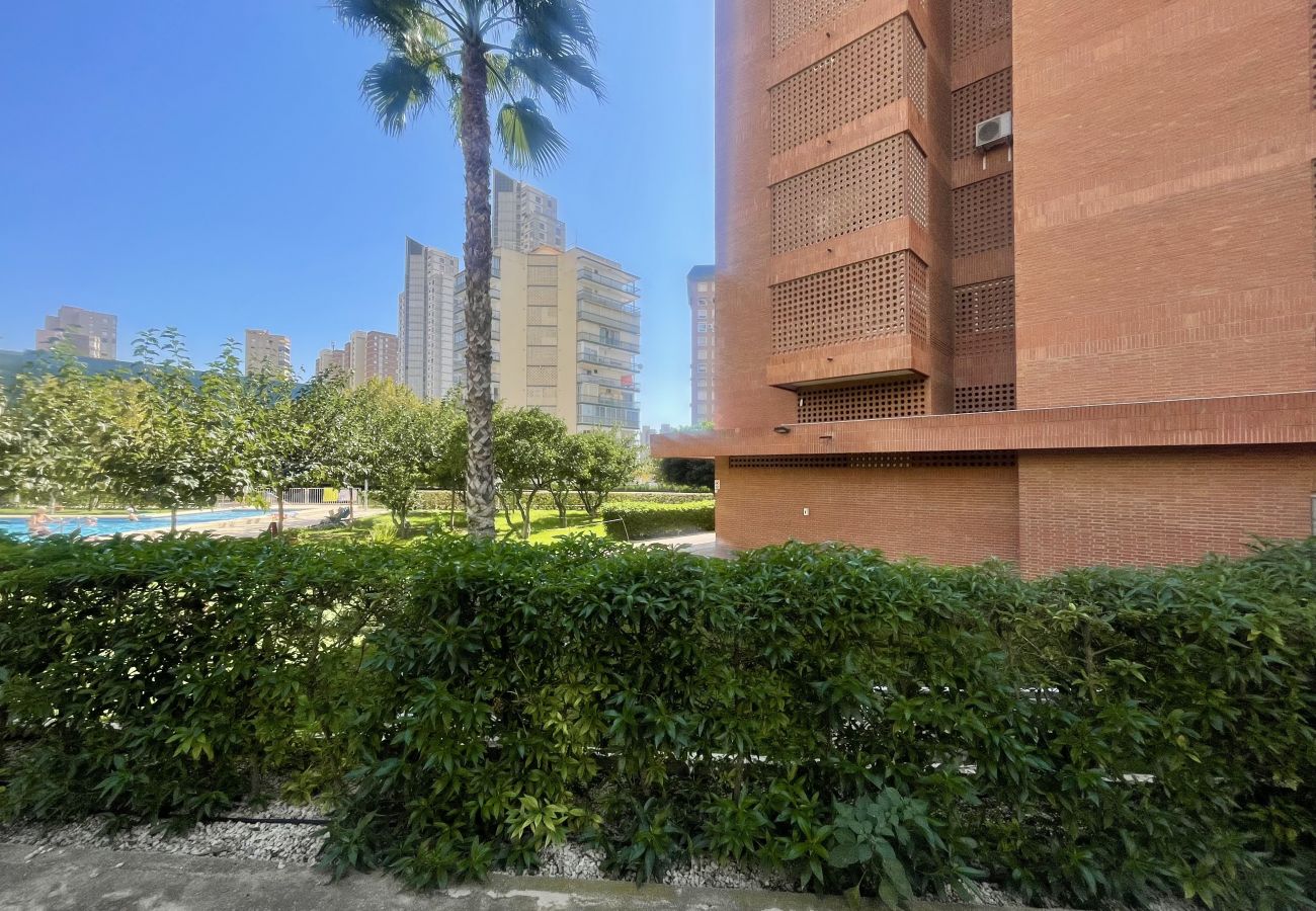 Appartement à Benidorm - PRINCIPADO WIFI, AIRCO, POOL AND GARDEN N031