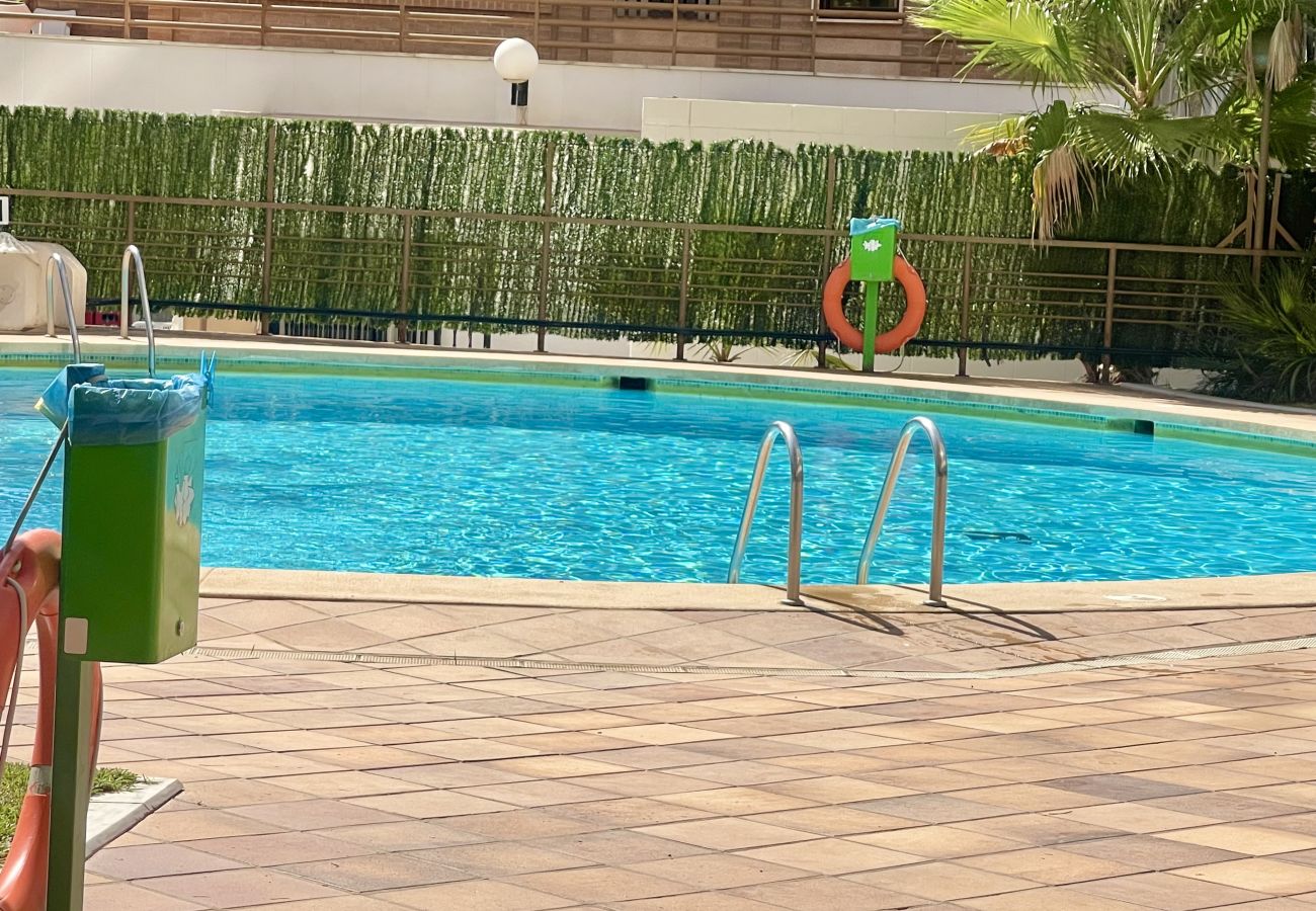 Studio à Benidorm - PARAISO LEVANTE BEACH STUDIO N105 