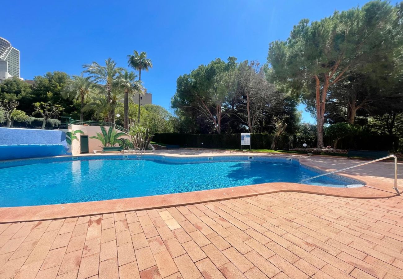 Appartement à Benidorm - COBLANCA PONIENTE APARTMENT A081