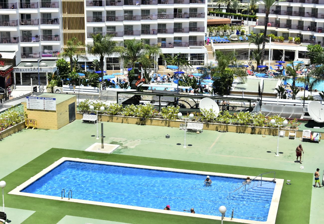 Appartement à Benidorm - MODERN AND STYLISH APARTMENT BENIDORM BEACH (A023)