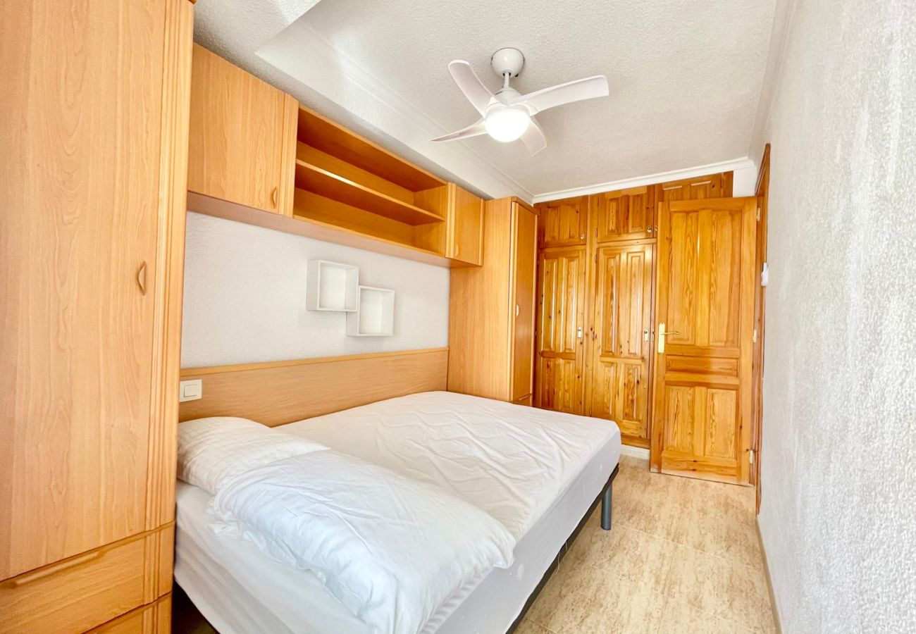 Appartement à Benidorm - ALBATROS LOIX APARTMENT R188