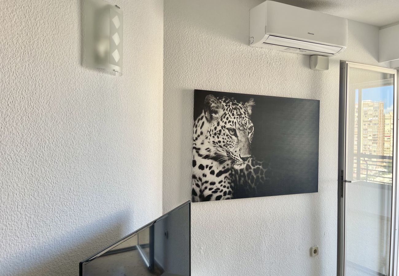 Appartement à Benidorm - TORRE VALENCIA CITY VIEWS R045 R047