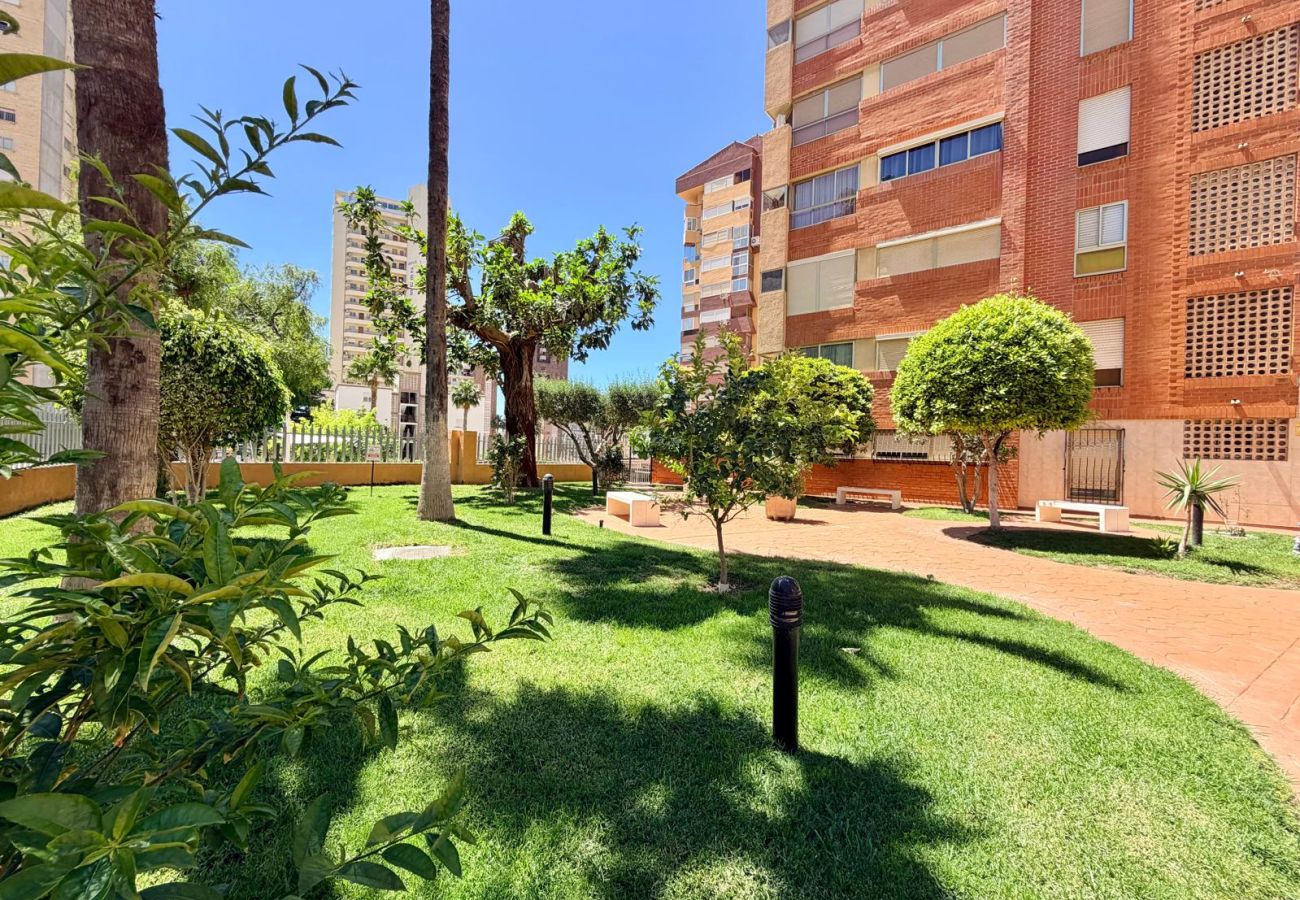 Appartement à Benidorm - LEVANTE BEACH CIGÜEÑA APARTMENT (R187)