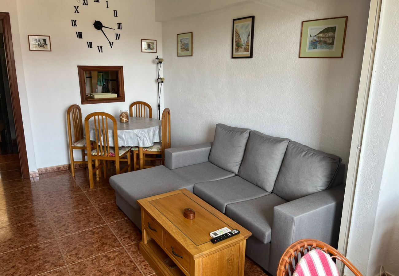 Appartement à Benidorm - GEMELOS 8 LEVANTE A005
