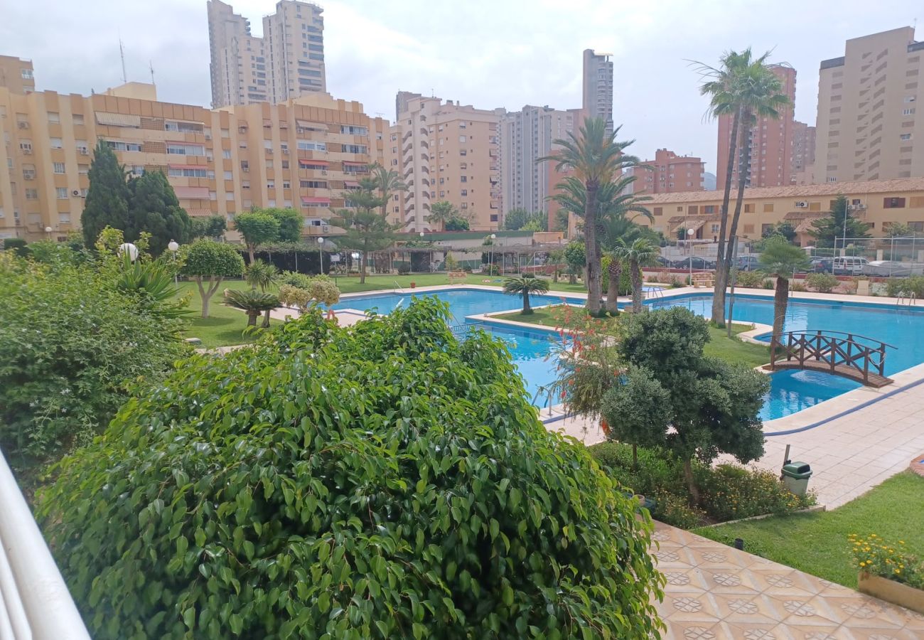 Appartement à Benidorm - GEMELOS 8 LEVANTE A005