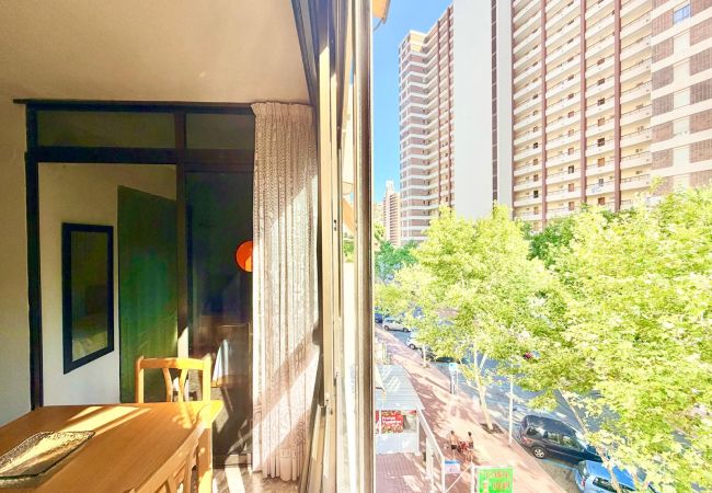  à Benidorm - MARISCAL LEVANTE BEACH APARTMENT R200
