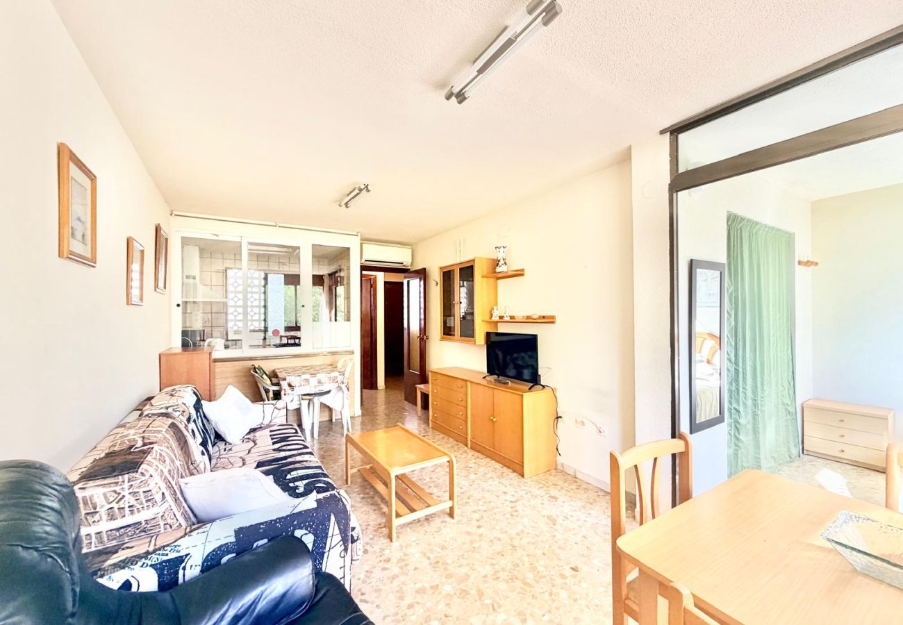 Appartement à Benidorm - MARISCAL LEVANTE BEACH APARTMENT R200