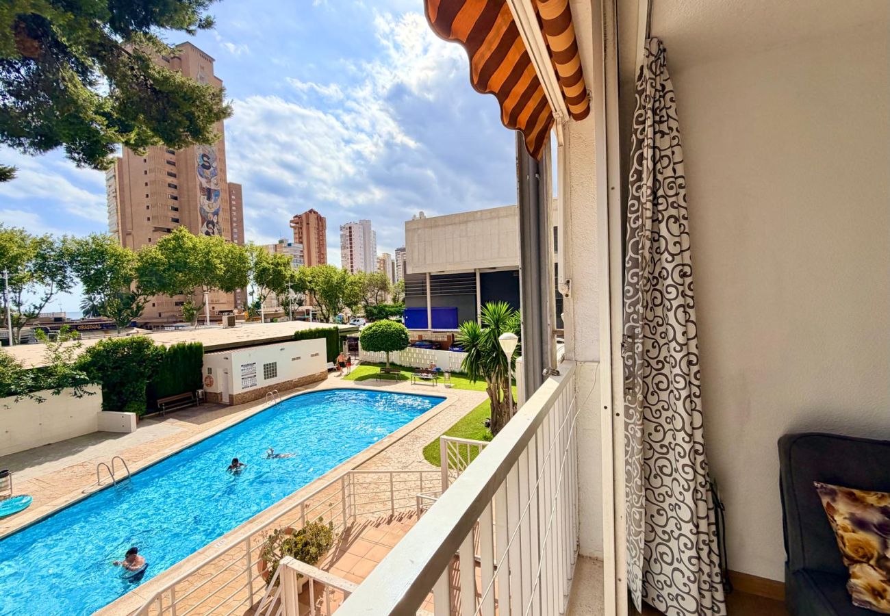 Studio à Benidorm - ALBATROS STUDIO LEVANTE BEACH (A016)